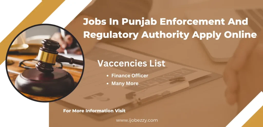 Jobs In Punjab Enforcement And Regulatory Authority Apply Online